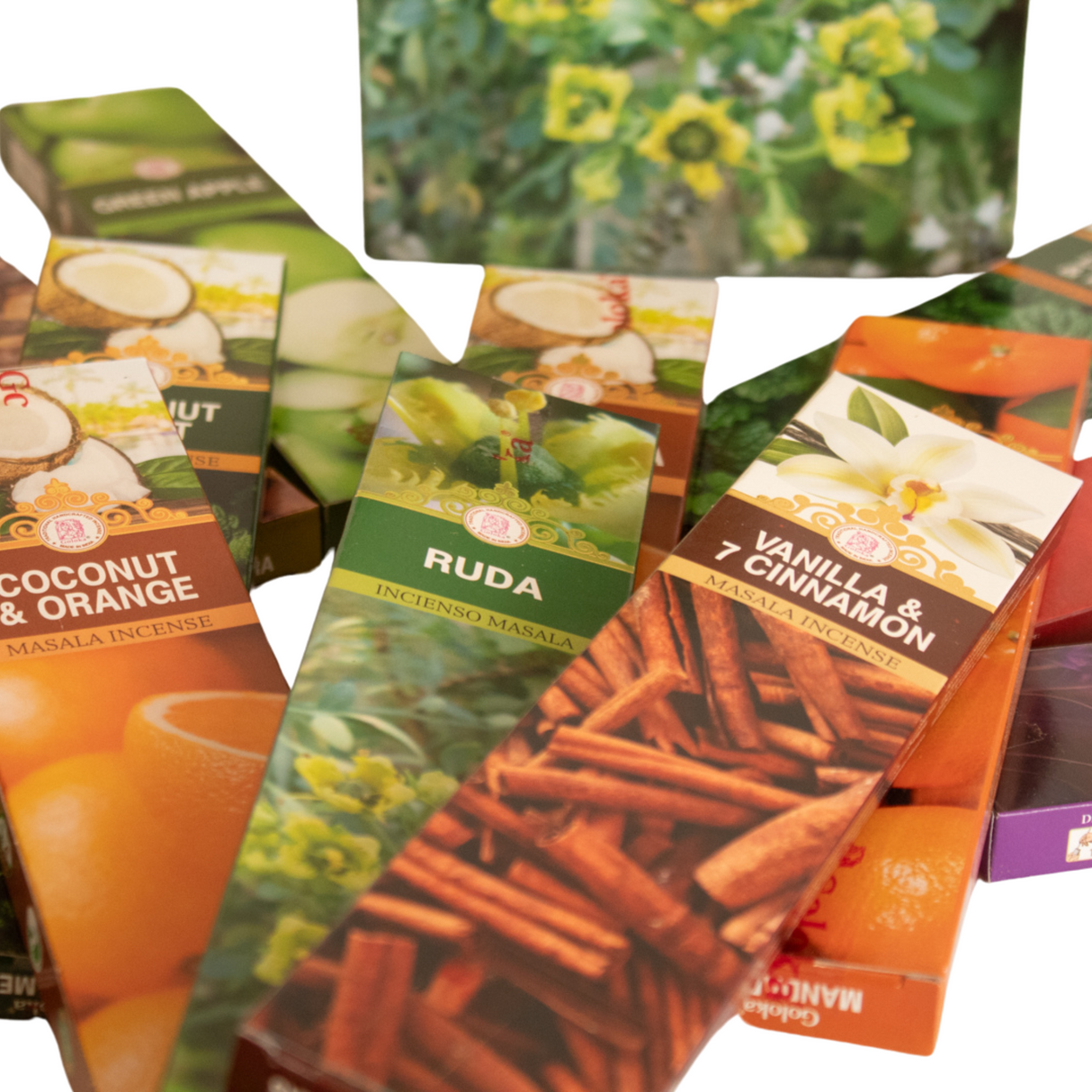 Pack Regalo Economic Line Goloka