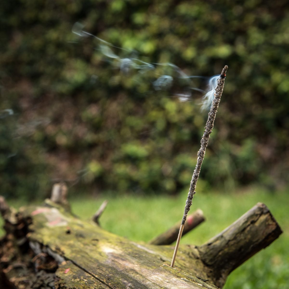 Sahumerio Copal Natural