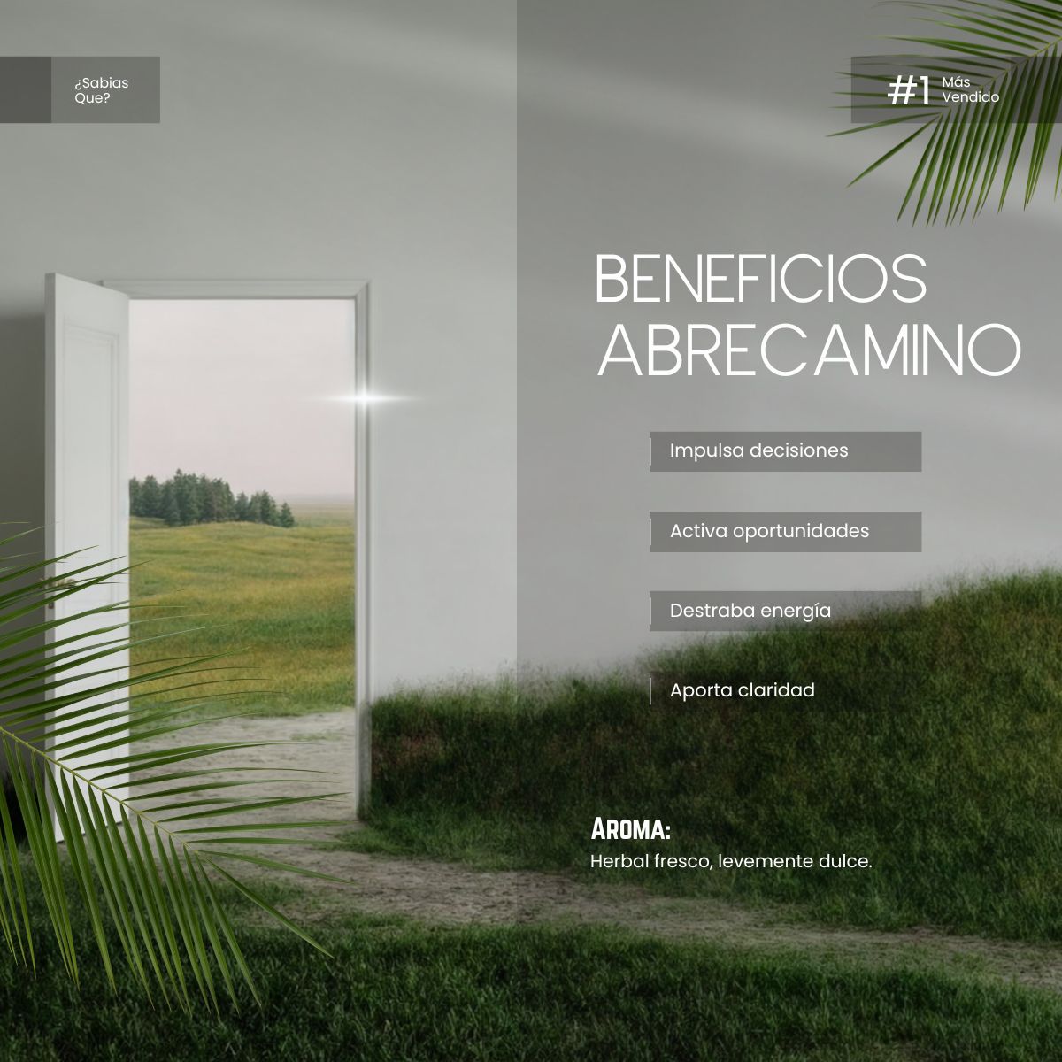 Aceite Aromático Abrecaminos