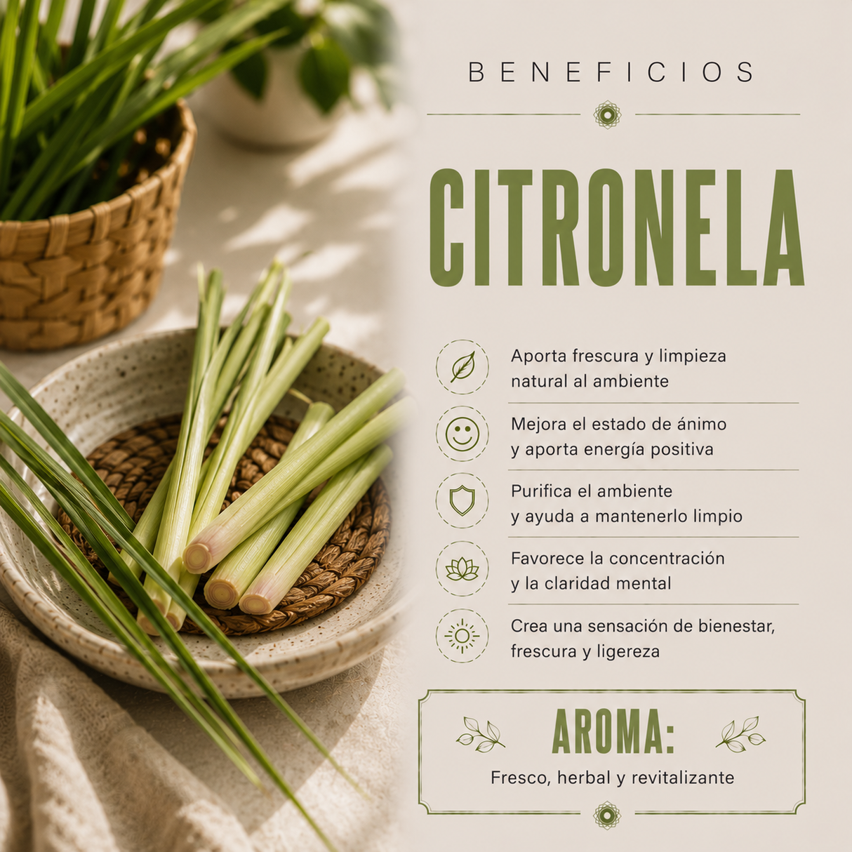 Aceite Aromático Citronela India