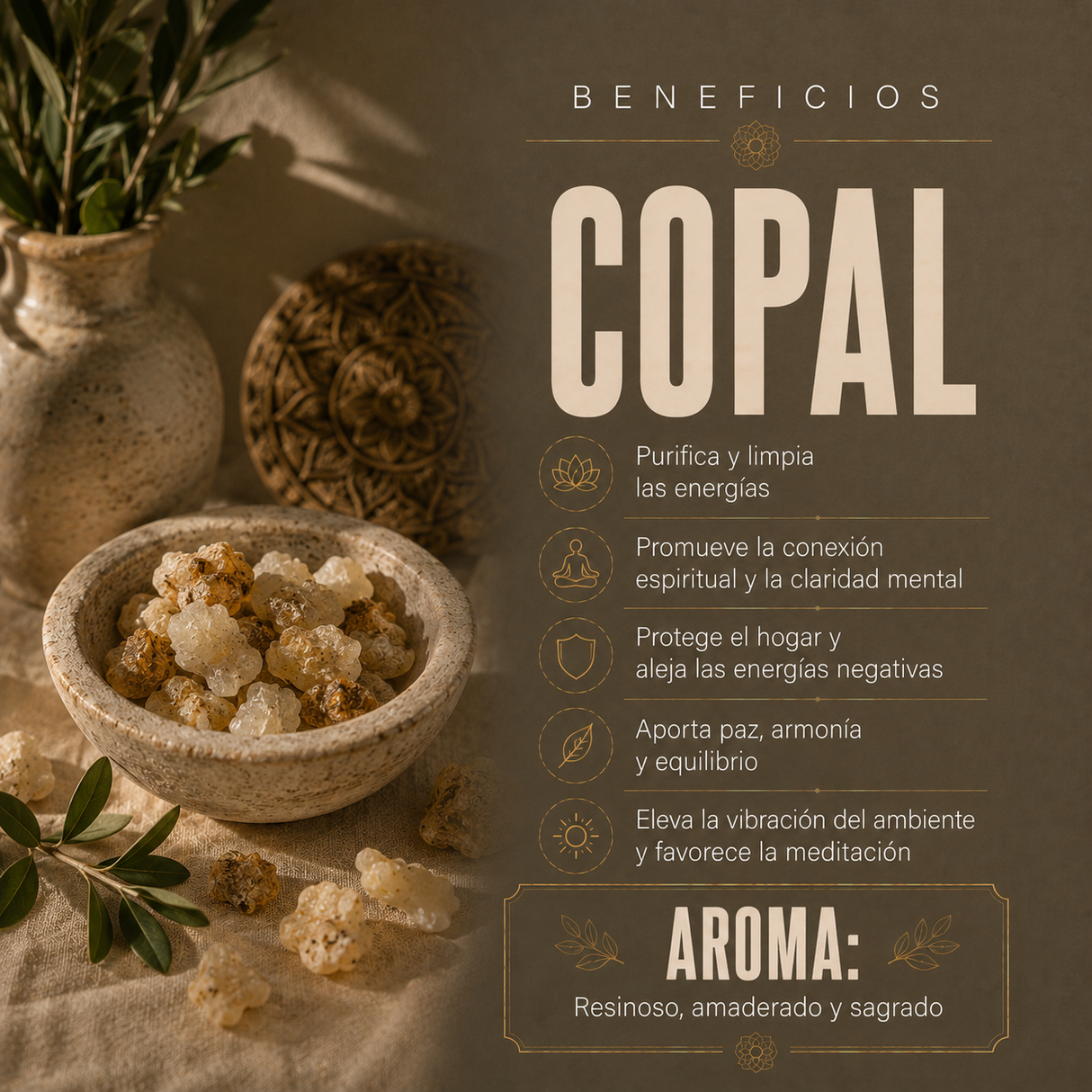 Resina Copal 50 gr