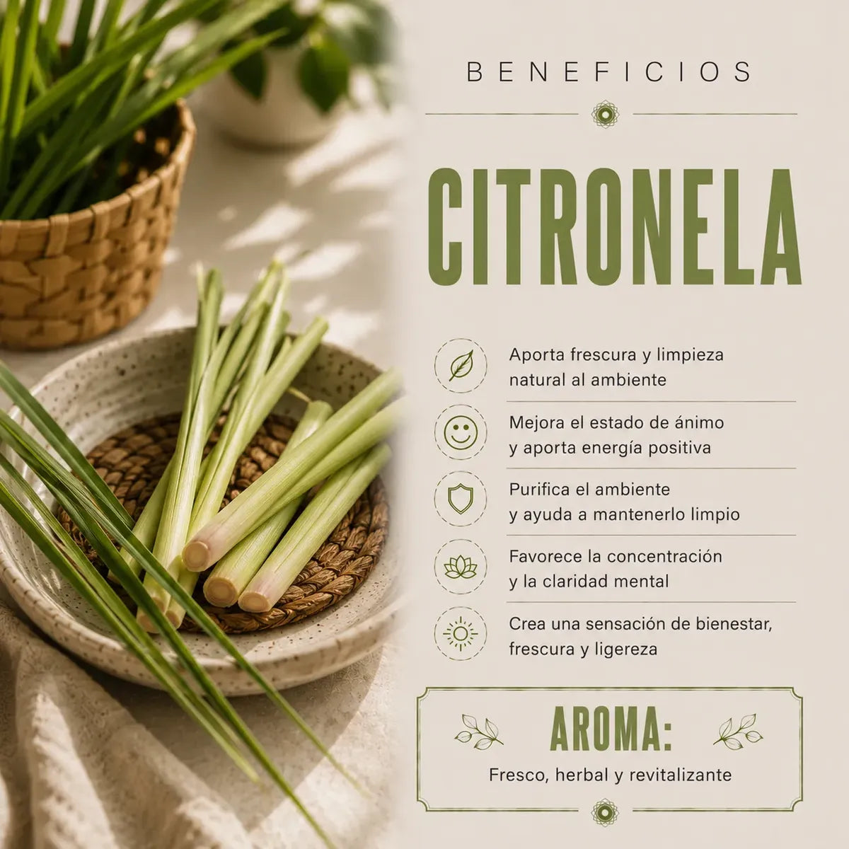 Incienso Citronella Natural Green