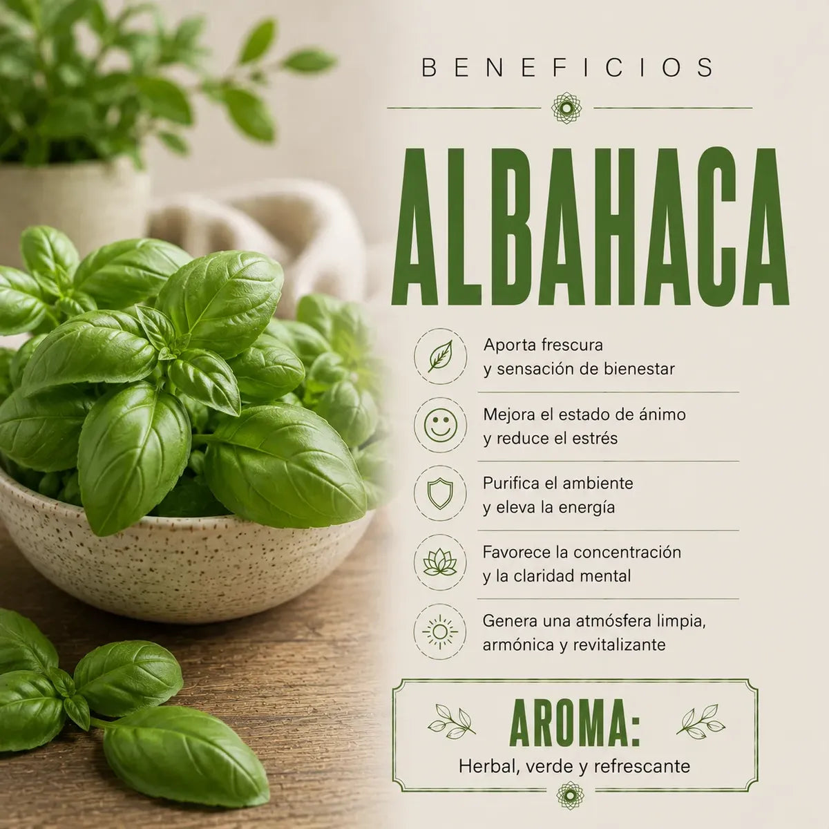 Incienso Duo Nag Champa y Holy Basil
