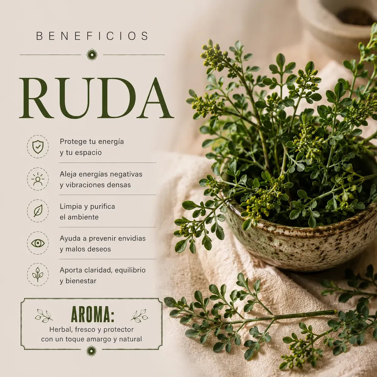 Incienso Nag Champa Ruda