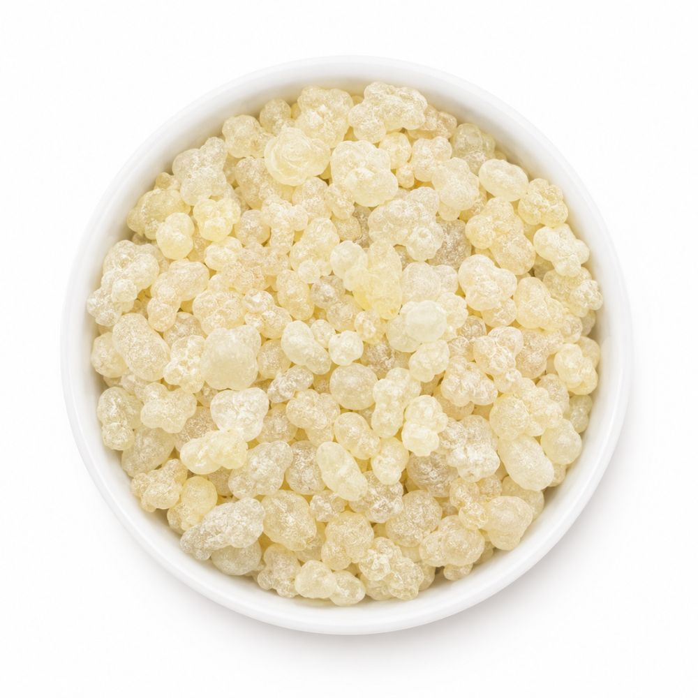 Resina Gumdammar 1 Kg