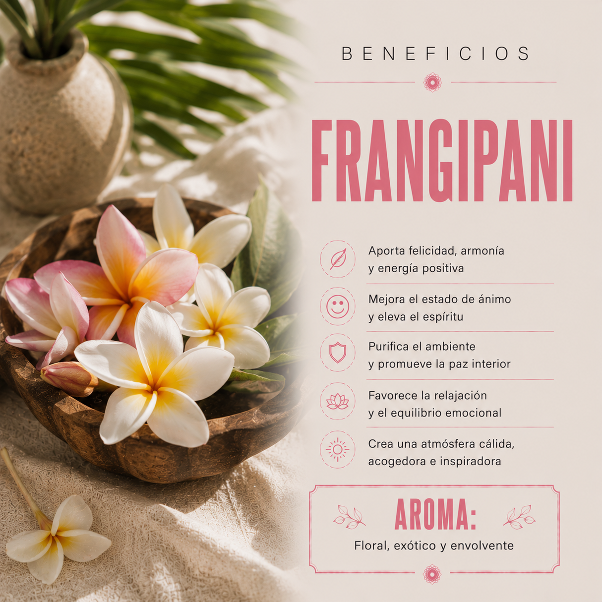 Incienso Smudge Frangipani