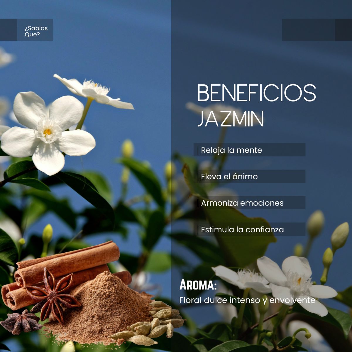 Aceite Aromático de Jazmín