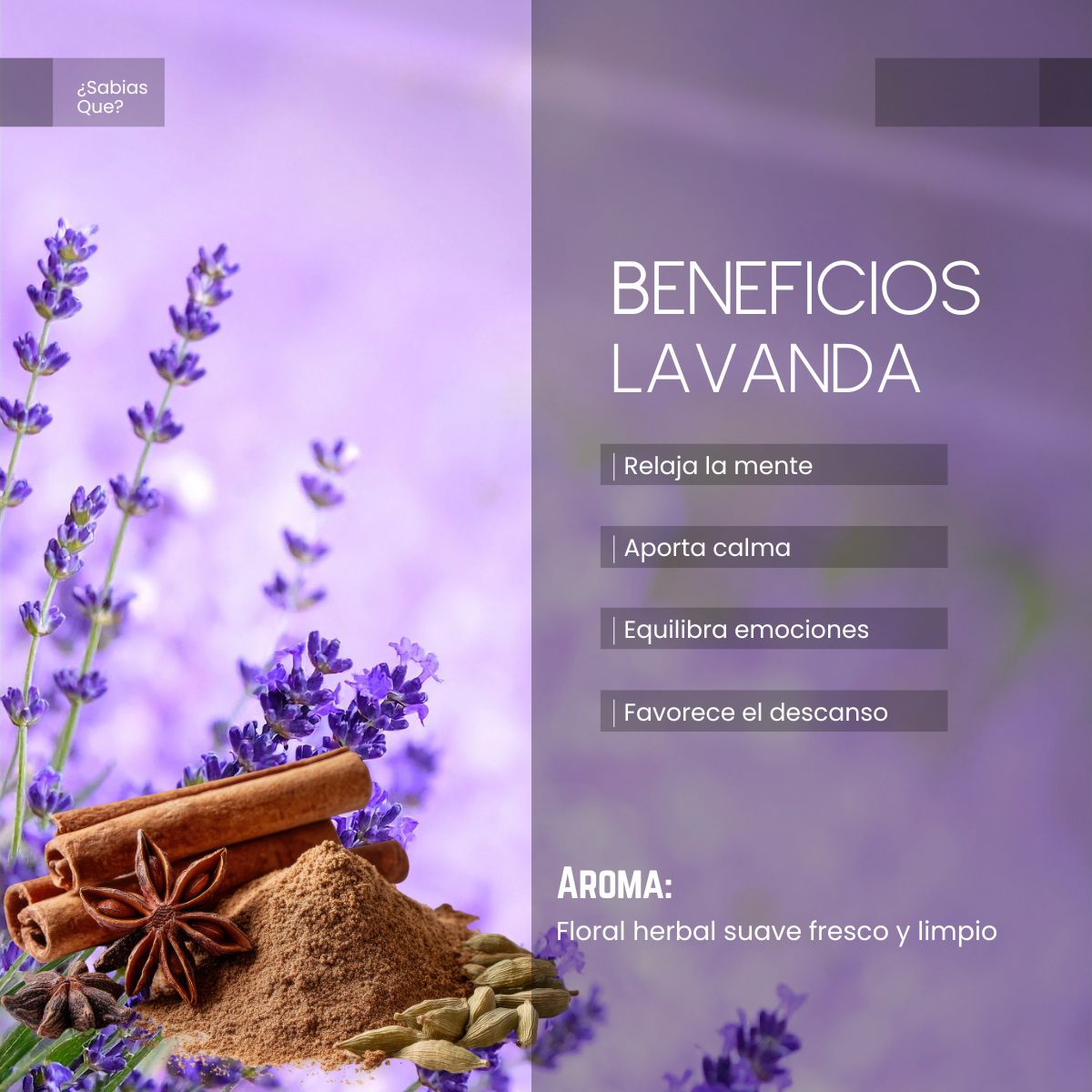 Aceite Aromático de Lavanda