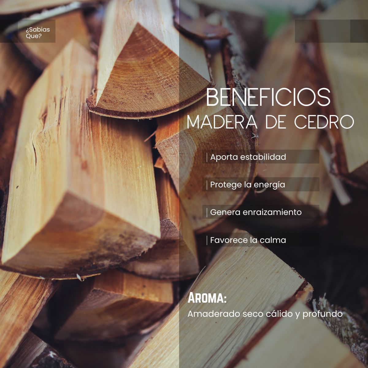 Aceite Aromático Madera de Cedro