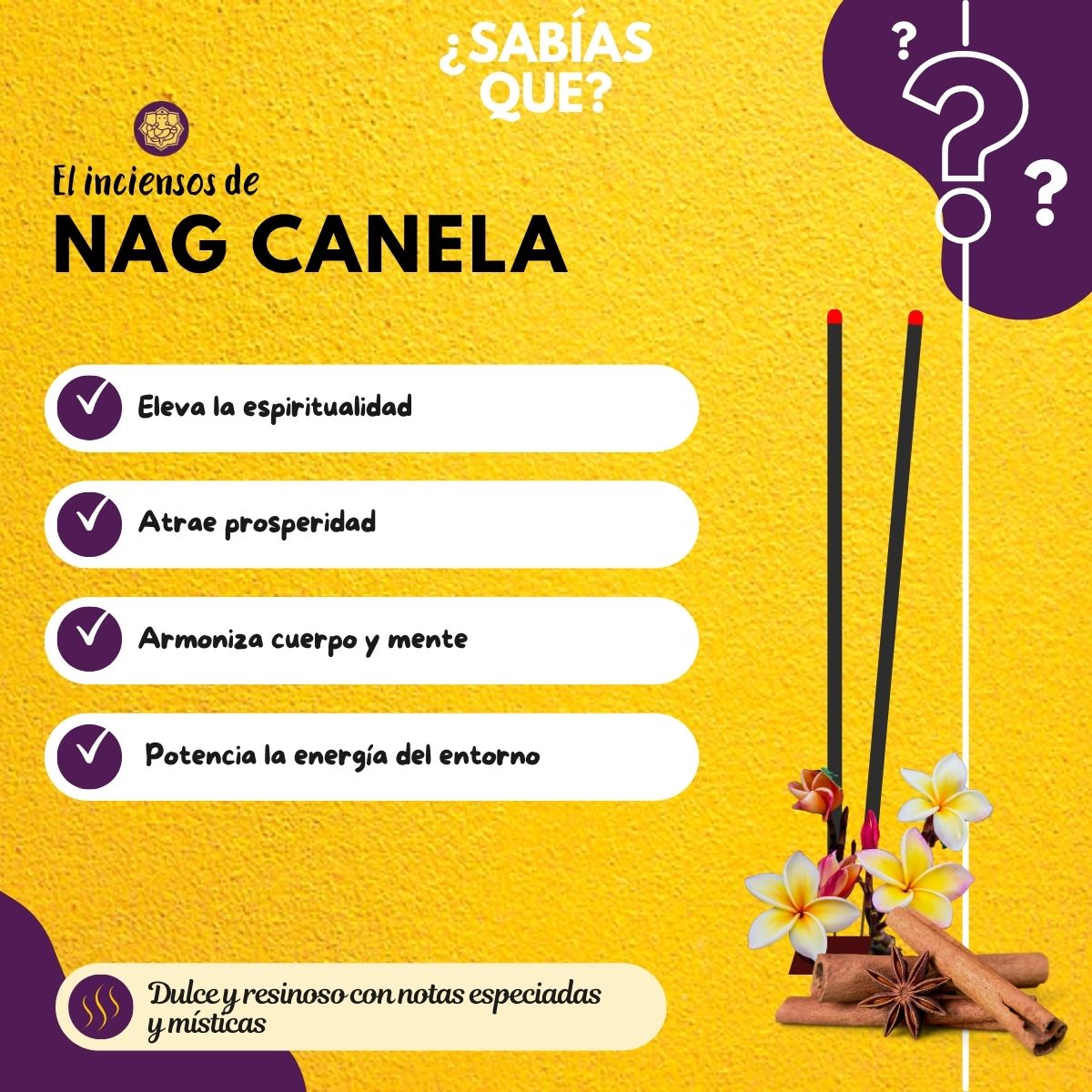 Incienso Jumbo Nag Champa y Canela