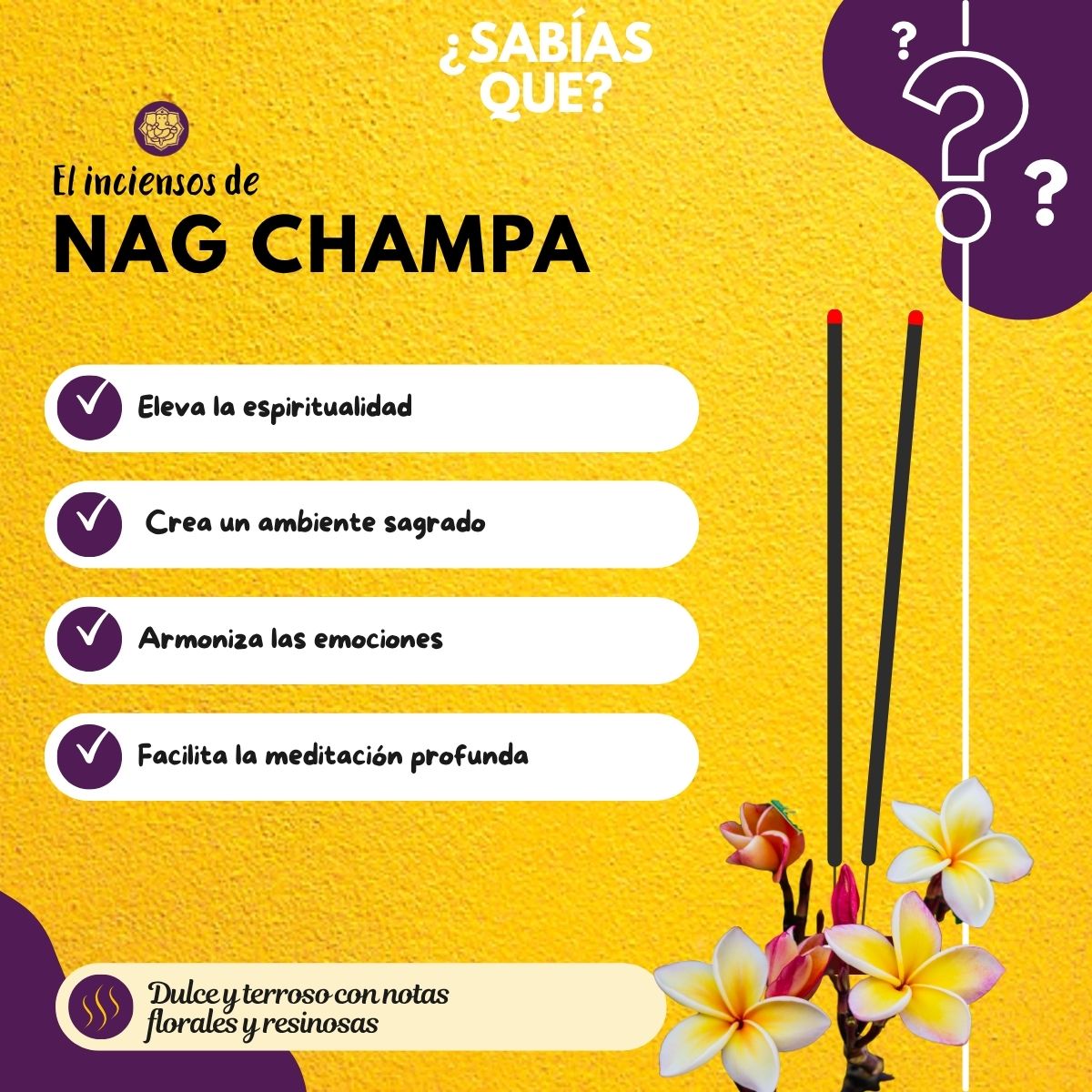 Incienso Jumbo Nag Champa