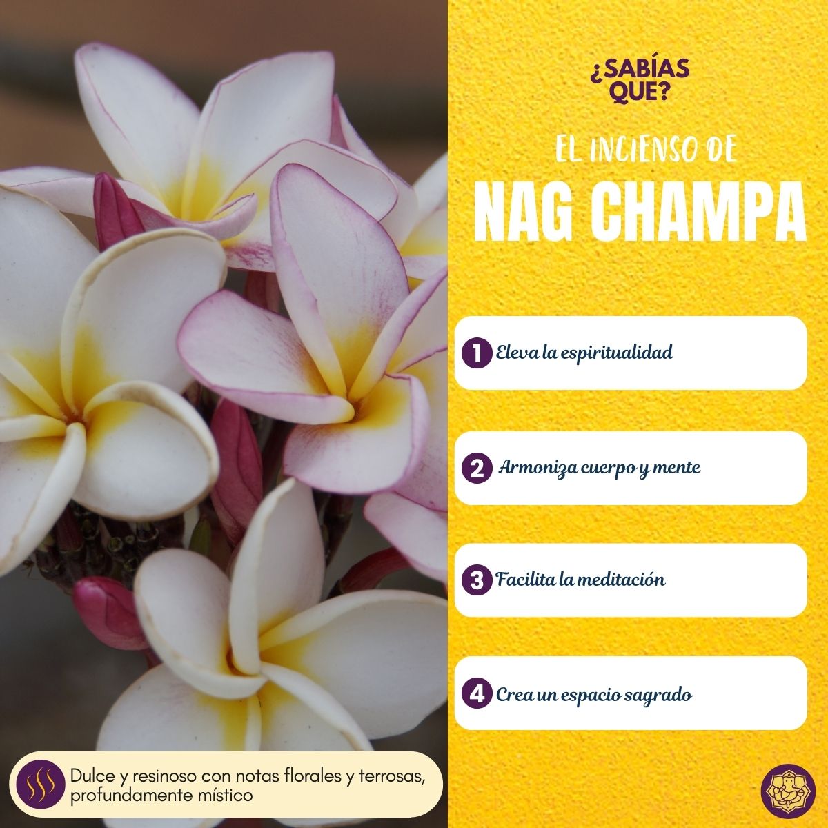 Incienso Colgante Nag Champa