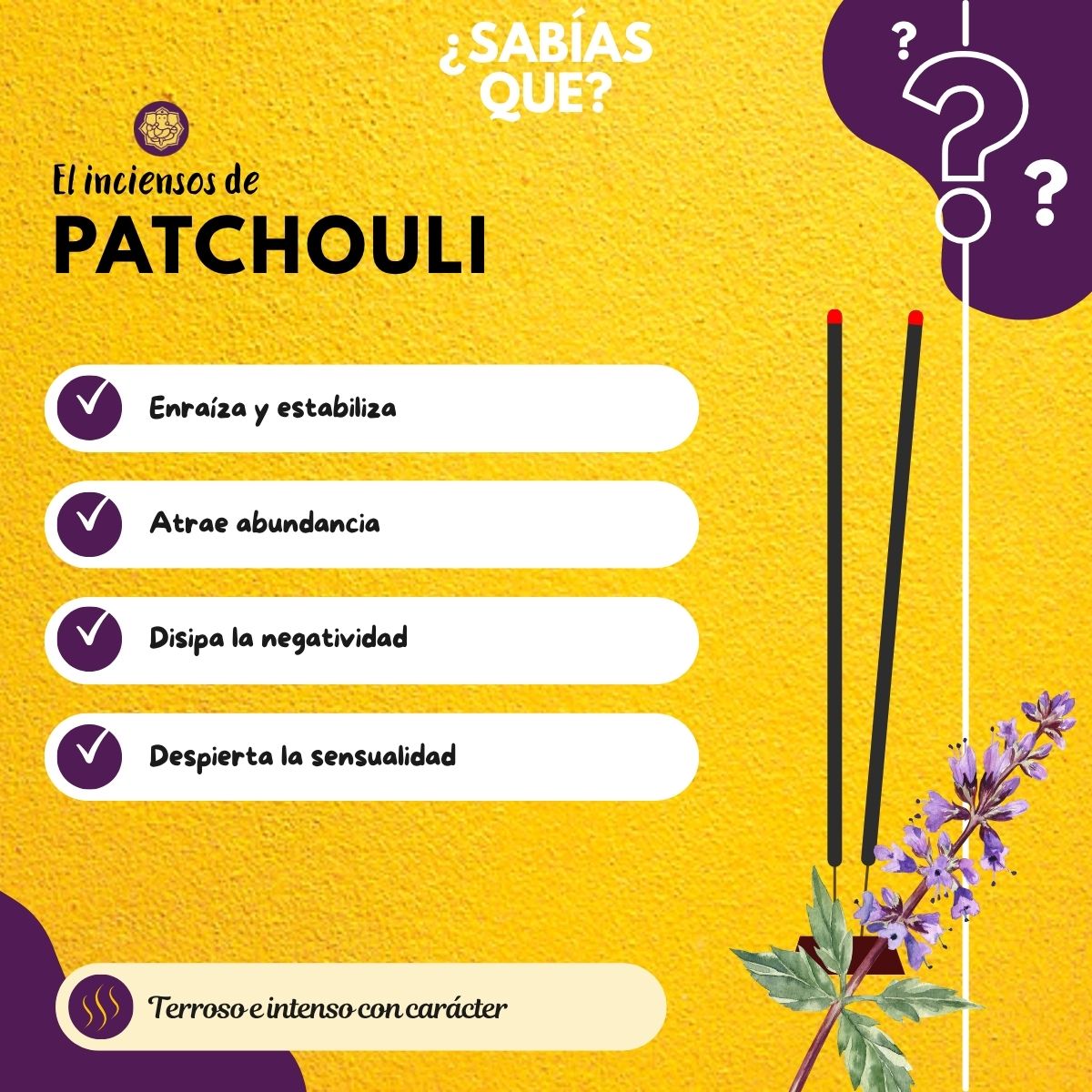 Incienso en Cono Patchouli