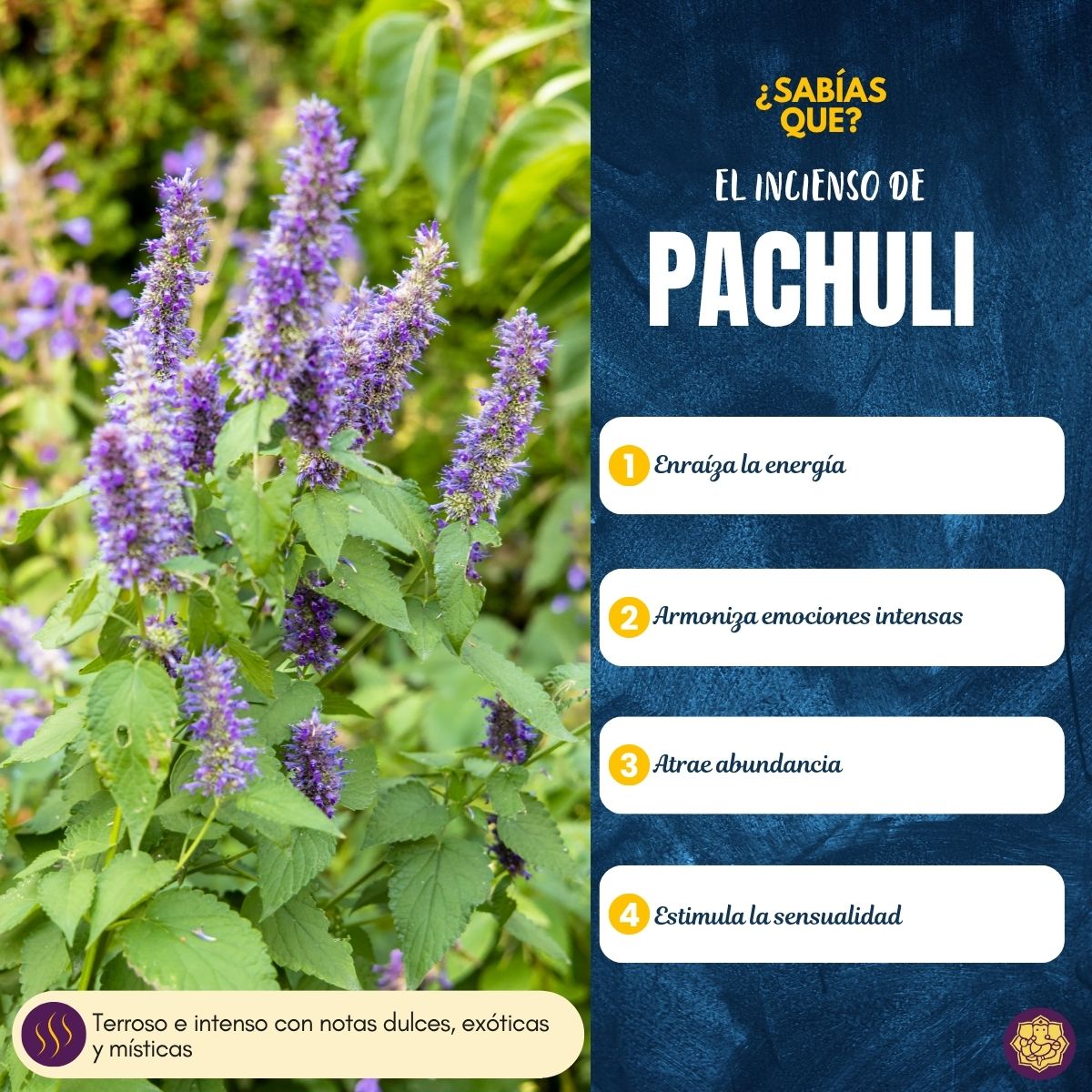 Incienso Patchouli