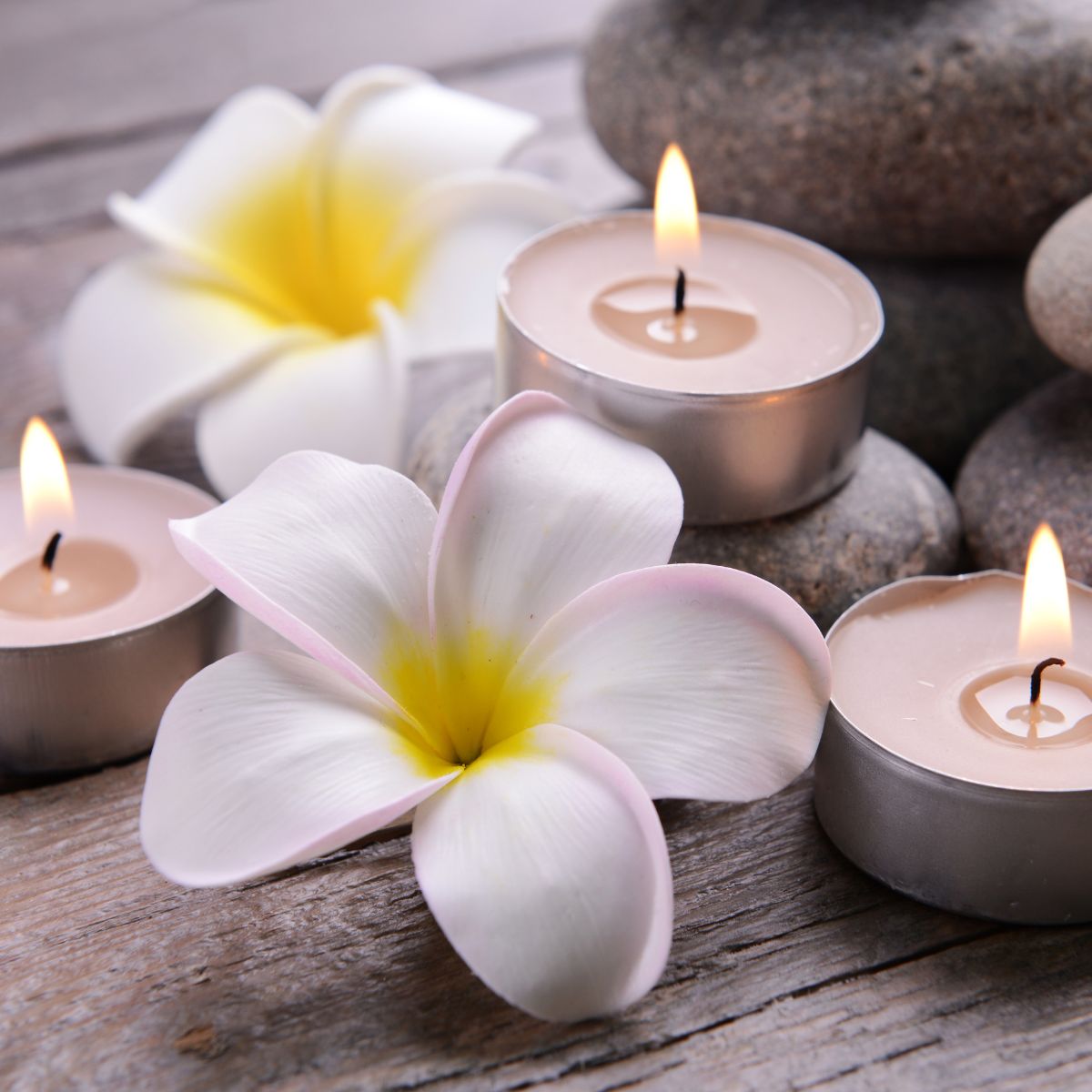 Pack 50 Velas Tealight 4 horas