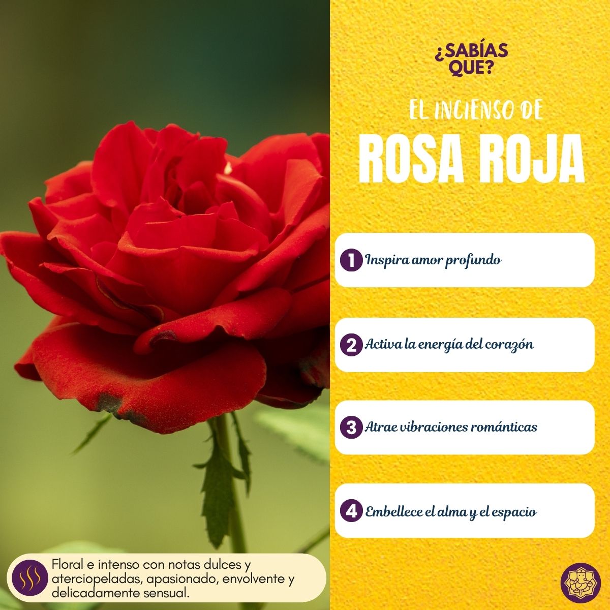 Incienso Indian Rose