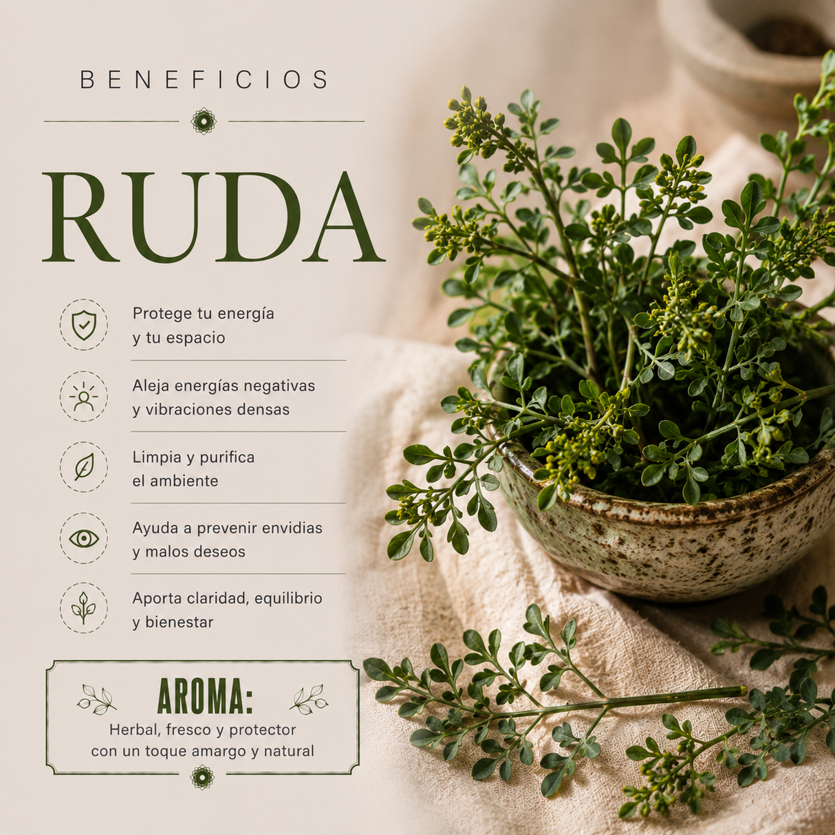 Aromatizante Spray Ruda 100 mL