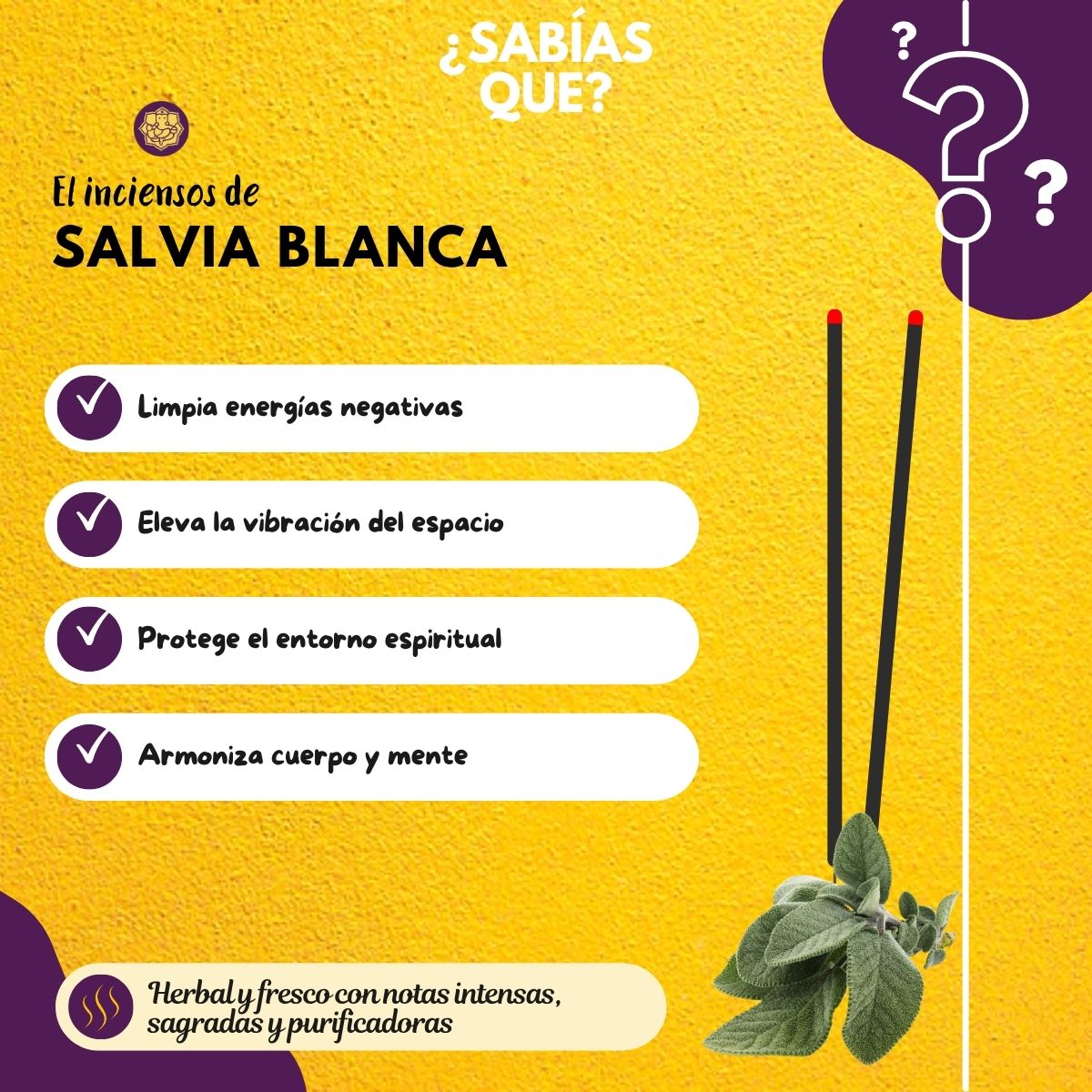 Incienso Salvia Blanca Californiana