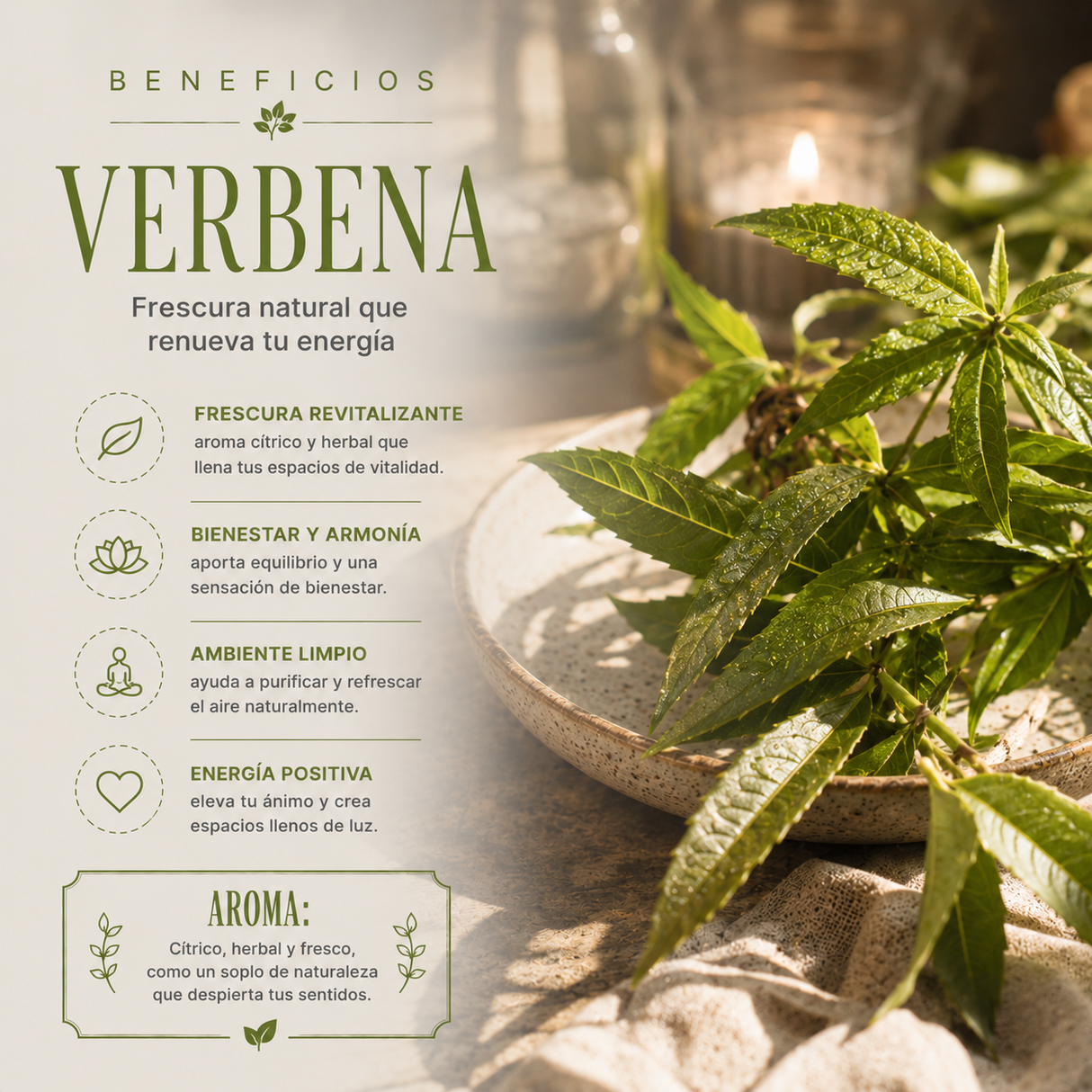Aromatizante Spray Verbena 300 mL
