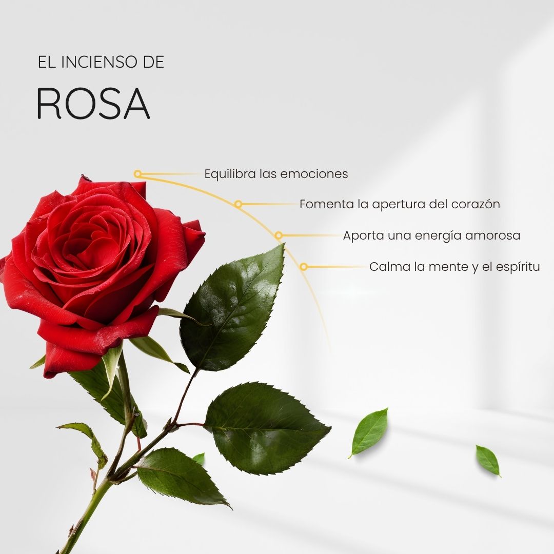 Incienso Medusa - Rosa