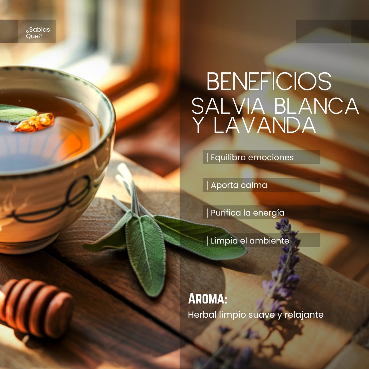 Aceite Aromático Salvia Blanca + Lavanda