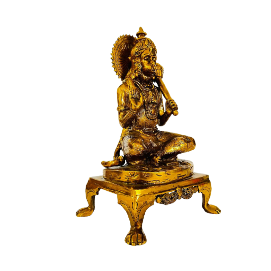 Hanuman Bronce 6 kgs