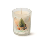 Vela Vaso Frescura Floral 60gr