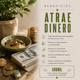 Resina Atrae Dinero