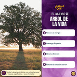Incienso Arbol de la Vida