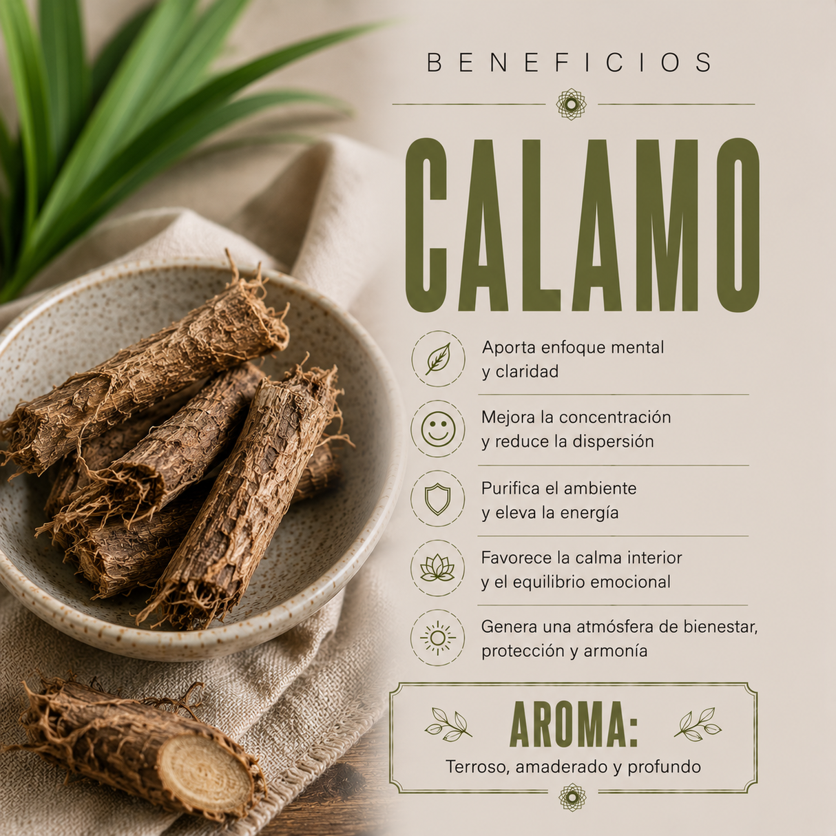 Aceite Esencial Cálamo
