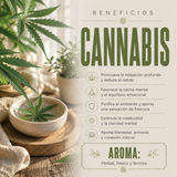 Incienso Premium Cannabis