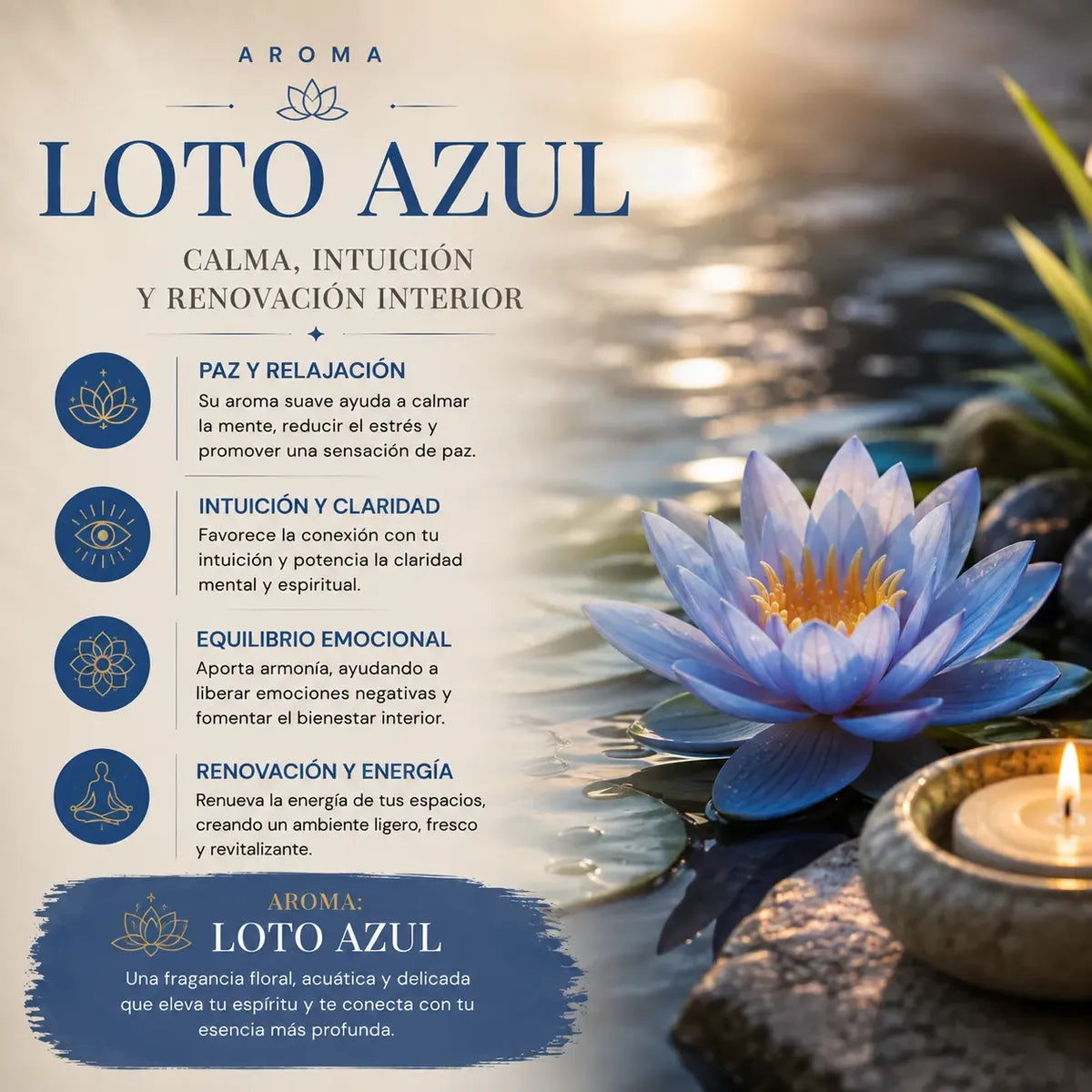 Incienso Loto Azul con Piedras de Lapislazuli