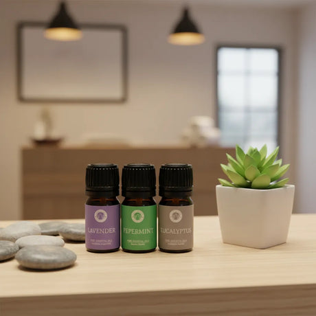 Pack Aceites Esenciales Sleep