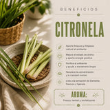 Incienso Citronella Natural Green