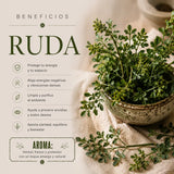 Incienso Nag Champa Ruda
