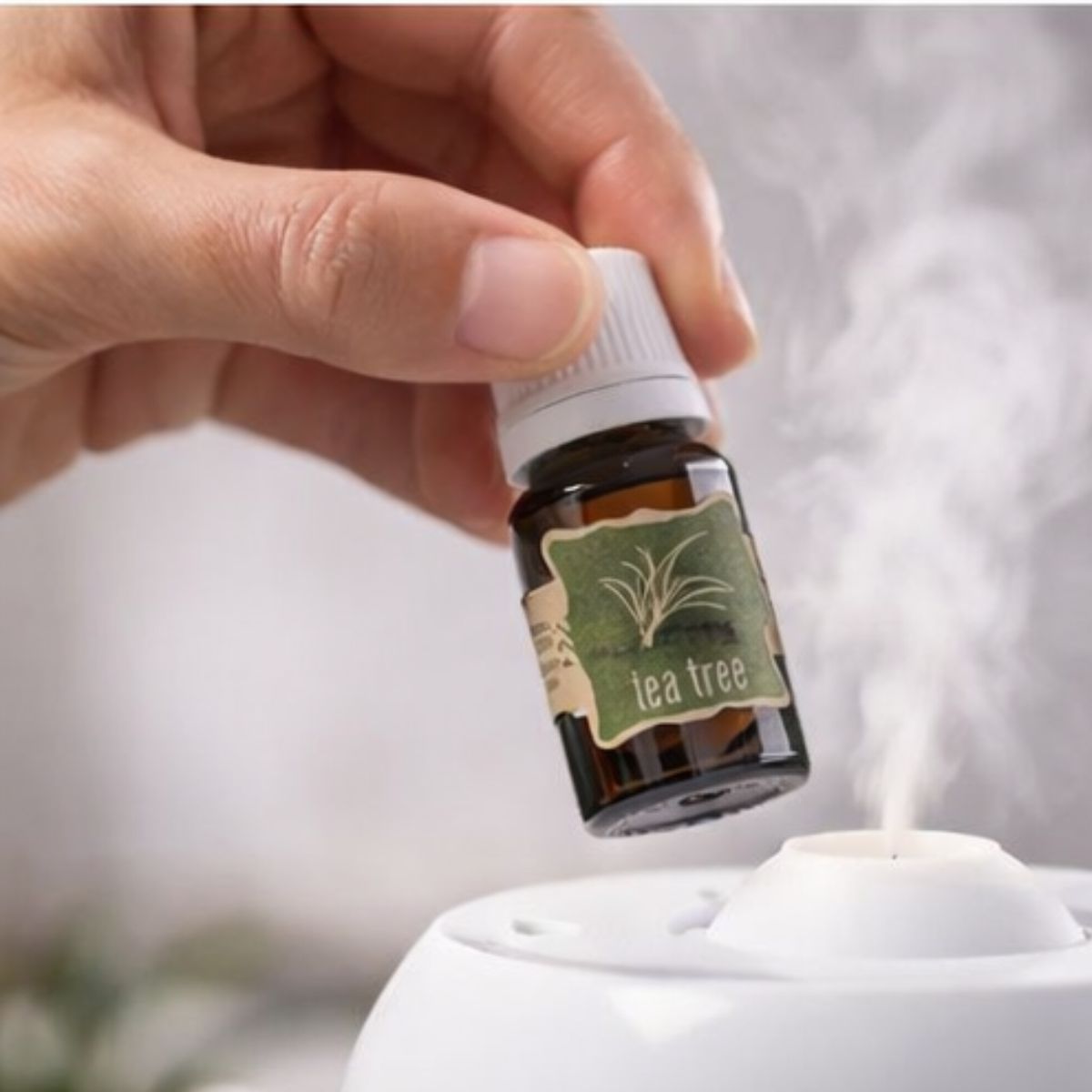 Aceite Esencial Árbol de Té