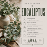Aceite Esencial Eucaliptus