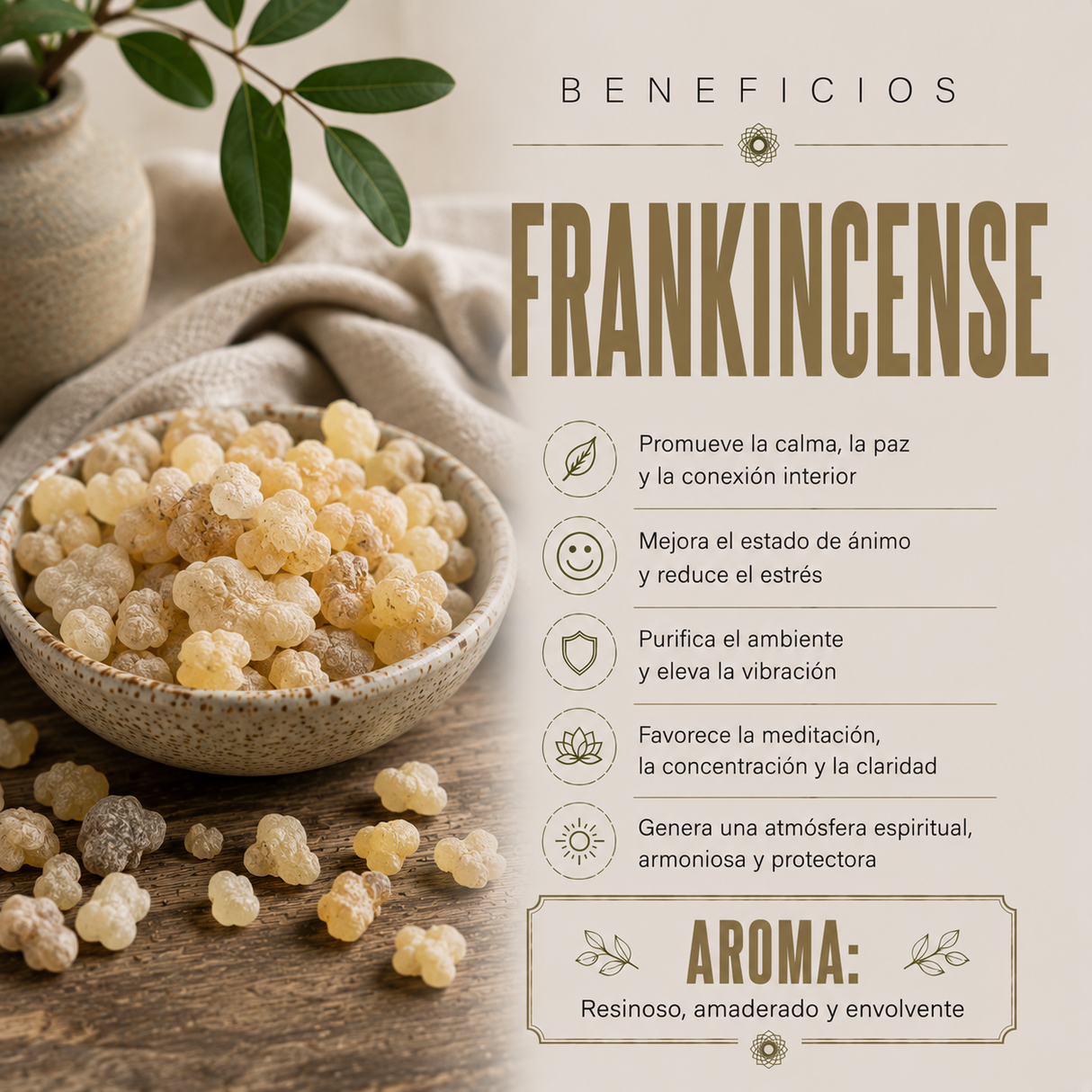 Resina Frankincense 50gr