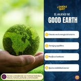 Incienso Premium Good Earth
