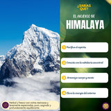 Incienso Golden Nag Himalaya