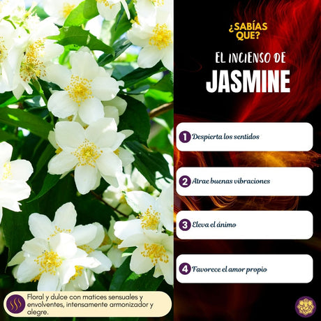 Incienso Himalaya Jasmine