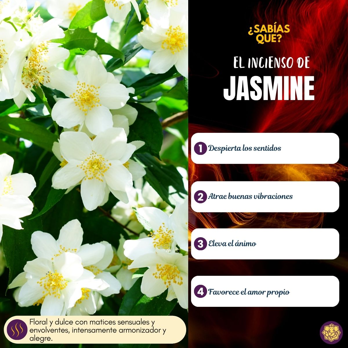 Incienso Masala Jazmín