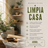 Copitas de Incienso Limpia Casa 12 copas