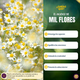 Incienso Masala Milflores