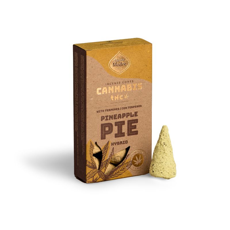 Sahumerio Cono Grow Pineapple