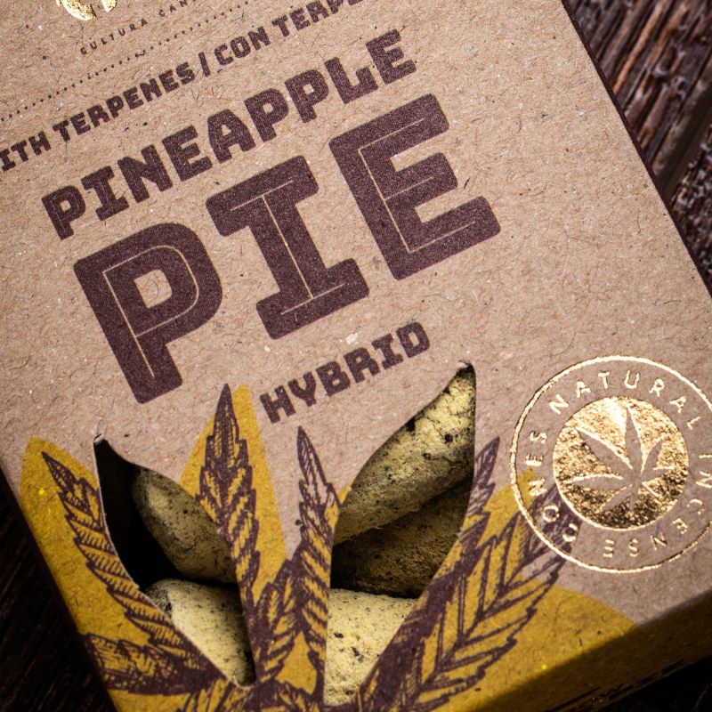 Sahumerio Cono Grow Pineapple