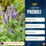 Incienso Cascada Golden Indian Patchouli 10 conos