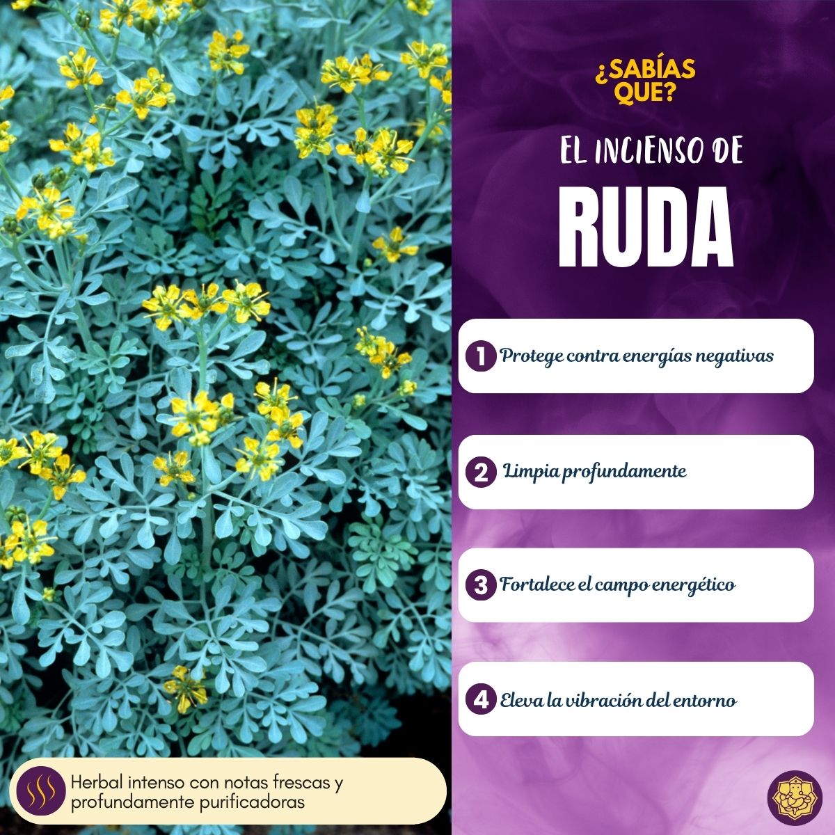 Incienso Masala Ruda