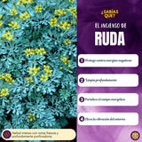 Incienso Masala Ruda