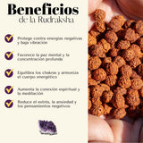 Pulsera Dorada Tribal Rudraksha